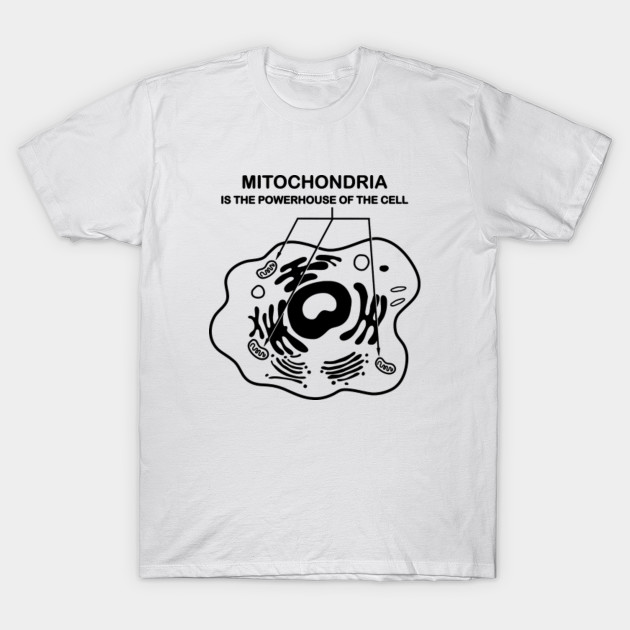 Mitochondria